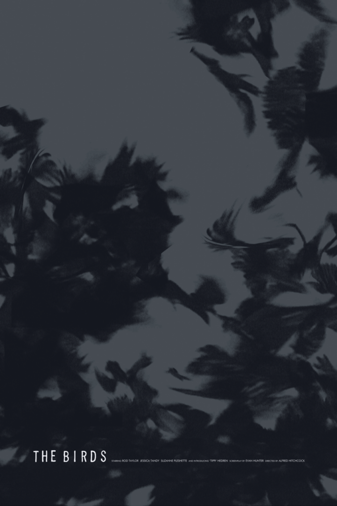 gli uccelli | the birds | adam Juresko | Soggettiva gallery